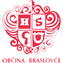 Braslovče